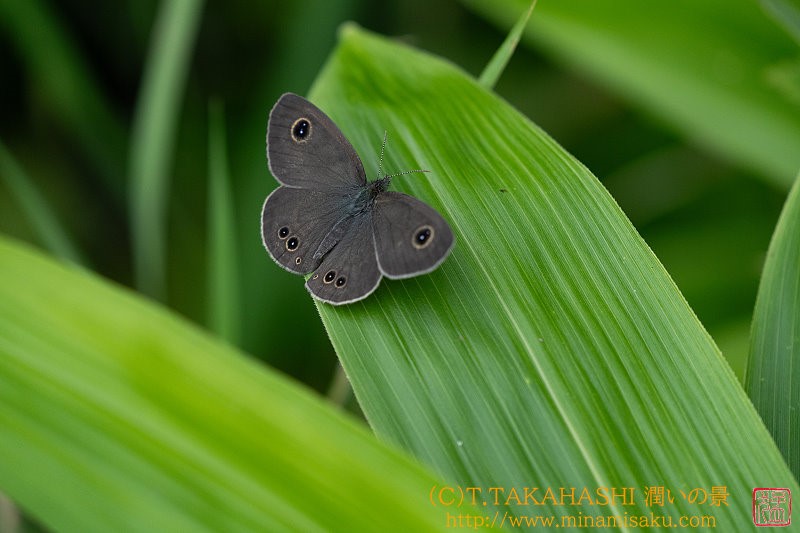 ../Images/7R240807 (10).jpg